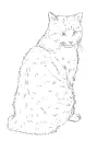 cat