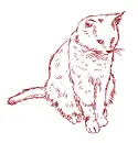 cat