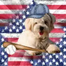 Baseball Puppy Flag ~ background ~ fg