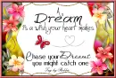 Chase Your Dreams