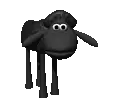 black sheep