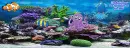 Under the sea FB Cover