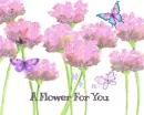 Flower and butterfly