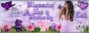 Deb -Blossom like a Butterfly fb cover