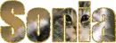Sonia - cat