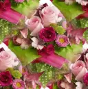 Roses ~ background