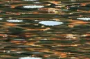 Water ~ background