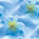 Blue flowers ~ background