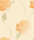 Orange roses~ background