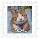 Sonia