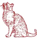 cat