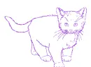 cat