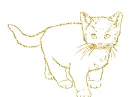 cat