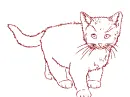cat