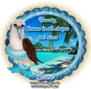 BEAUTY - JANE