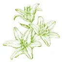 lilies
