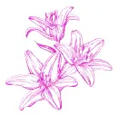 lilies