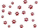 paw