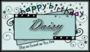Happy Birthday Daisy! 