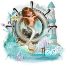 Sea~Daisy