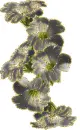 white flowers
