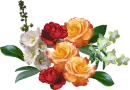 bouquet