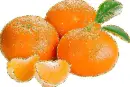 oranges