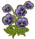 blue pansy