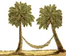 palm trees
