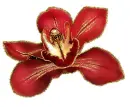 red orchid
