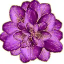 purple flower