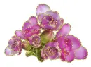 purple flowers