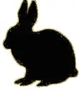 rabbit silhouette
