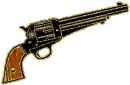 gun