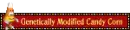Candy Corn | Genetically Modified, word play