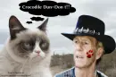 Grumpy Cat Humor (Crocodile Dun-Don't)