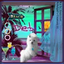 Deb
