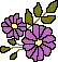 purple flowers