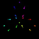 multicolor background