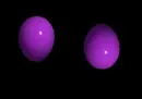 purple eggs