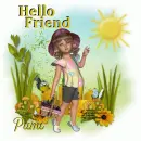 Hello friend/Pami
