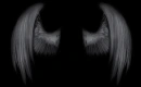 Angel - Black Wings
