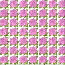 background of roses
