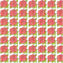 background of roses