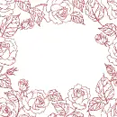 frame roses