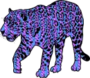 Blue and Purple Leopard