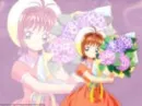 sakura with flowers