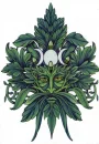 homen verde