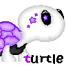 Turtle Love