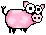 pig